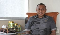 Perihal Calon Duta Besar, DPR: Keterwakilan Orang Asli Papua Harus Jadi Perhatian Presiden - JPNN.com