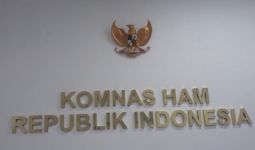 Komnas HAM Klaim Profesional Dalam Penyelidikan Kasus Paniai - JPNN.com