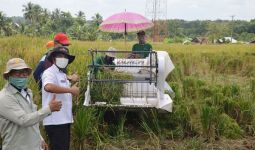 NTP Hortikultura Tinggi, Kinerja Sektor Pertanian Diproyeksi Makin Cerah - JPNN.com