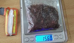 Petugas Lapas Banceuy Bandung Temukan Ganja 15 Gram dan Sabu-sabu, Milik Siapa? - JPNN.com