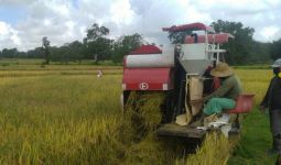 DPR RI Minta Anggaran Sektor Pertanian Tidak Dipotong - JPNN.com