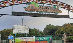Libur Akhir Pekan, 7224 Orang Kunjungi Taman Margastwa Ragunan - JPNN.com