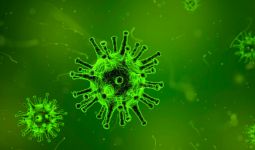 Kondisi Ini Sangat Berisiko Bagi Anak Muda Terjangkiti Virus Corona - JPNN.com