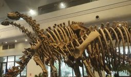 Jejak Dinosaurus Ditemukan, Diyakini Spesies Baru Asianopodus - JPNN.com