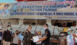 Dikawal Bea Cukai, Rusli Habibie Lepas Ekspor 12.400 Ton Jagung Gorontalo ke Filipina - JPNN.com