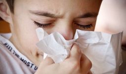 Hidung Berair, Akibat Sinusitis atau Alergi? - JPNN.com