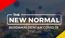 New Normal Dinilai Mampu Gerakkan Sektor Ekonomi - JPNN.com