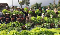 KWT Binama Manfaatkan Lahan Pekarangan Tanam Sayuran Berkualitas - JPNN.com