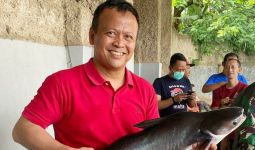 Heboh Ikan Dori adalah Ikan Patin, Menteri Edhy Bilang Begini - JPNN.com