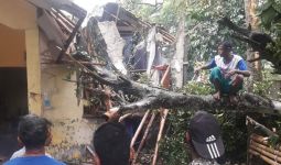 Rumah Warga Bogor Hancur Tertimpa Pohon Tumbang - JPNN.com