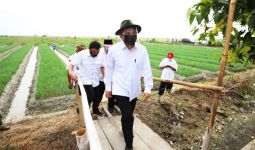 Dunia Terancam Kelaparan, Menteri Teten Dorong Penguatan Koperasi Pangan - JPNN.com