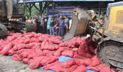 Bea Cukai Bengkalis Musnahkan 11 Ton Bawang Merah Ilegal - JPNN.com