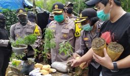 Banyak Pohon Ganja di Tengah Tanaman Pisang dan Sayuran di Bandung, Pemiliknya Ternyata - JPNN.com