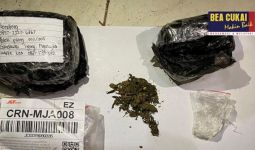 Bea Cukai Gagalkan Penyelundupan Narkotika Via Jasa Kiriman - JPNN.com