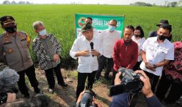 Kunjungi Indramayu, Menteri Teten Serahkan Program Restrukturisasi Pinjaman untuk KSP - JPNN.com