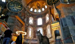 Masih Bolehkah Gli Tinggal di Hagia Sophia? - JPNN.com
