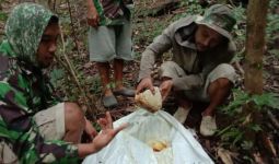 Kabar Gembira Dari Petani Madu Hutan di Makassar - JPNN.com