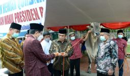 Presiden Jokowi Serahkan Sapi Kurban Seberat 1 Ton di Masjid Istiqlal - JPNN.com