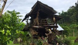 Rumah Akar, Spot Wisata Baru di Ranah Minang - JPNN.com