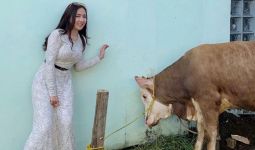 Ucie Sucita Pilih Berkurban di Kampung, Nih Alasannya - JPNN.com