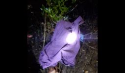 Siswa SD Ditemukan Tersangkut di Pohon Bakau, Kondisinya Mengenaskan Begini - JPNN.com