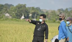 Stok Beras Masih Melimpah, Mentan SYL Panen Raya di Bangka Selatan - JPNN.com