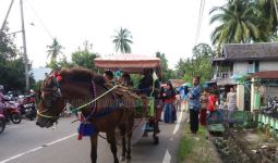 Kuda Sedang Sakit Dipaksa Menarik Delman, Tiba-tiba Mati di Istana Bogor, Teganya - JPNN.com