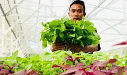 Aquagriculture Mulai Dikembangkan di Bogor - JPNN.com