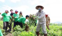 Terbukti, Sektor Pertanian dan Perkebunan Tetap Bertahan di Tengah Pandemi COVID-19 - JPNN.com
