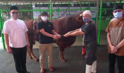 Pegadaian Salurkan 4,2 Ton Daging Kurban di Wilayah DKI Jakarta - JPNN.com