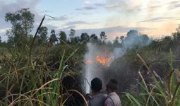 BMKG Peringatkan soal Kebakaran Hutan untuk Wilayah Ini - JPNN.com