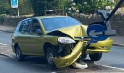 Waspada! Gara-gara Binatang Ini, Pengemudi Mobil Mengalami Kecelakaan - JPNN.com
