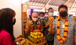 Berkunjung ke Desa Budaya di Bali, Menko Airlangga Berharap UMKM Lokal Segera Bangkit - JPNN.com