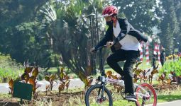 Respons Istana untuk Imbauan KPK soal Sepeda dari Daniel Mananta buat Pak Jokowi - JPNN.com