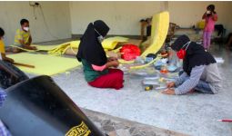 Sulawesi Selatan Punya Strategi Khusus untuk Dorong Pemenuhan Hak Penyandang Disabilitas - JPNN.com