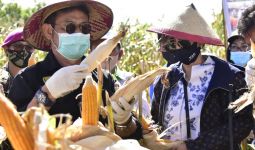 Mentan SYL Tingkatkan Produksi Pertanian di Sulawesi Utara - JPNN.com