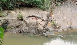 Seekor Buaya Teror Warga Sekitar Sungai Deli, Heboh! - JPNN.com