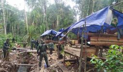Aparat Gabungan Bersenjata Bergerak ke Dalam Hutan, 3 Orang Langsung Disergap - JPNN.com
