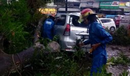 Puncak Bogor Diterjang Angin Kencang, Pohon Tumbang, Mobil Ringsek - JPNN.com