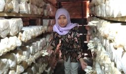 Seorang Guru Beralih jadi Pengusaha Jamur Tiram di Semarang, Begini Kisahnya - JPNN.com
