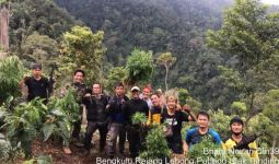 12 Jam Mendaki Bukit, Polisi Temukan Ladang Ganja di Tengah Kebun Kopi - JPNN.com