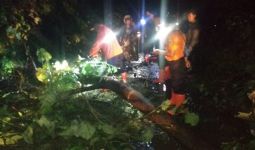 Bogor Hujan Deras, Tujuh Orang Terseret Longsor - JPNN.com