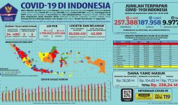 Update Covid-19 di Indonesia: Dalam Sepekan, 4 Kali Terjadi Pemecahan Rekor - JPNN.com