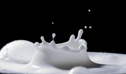 Manfaat Minum Susu Saat Pandemi COVID-19 - JPNN.com