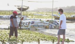 Pemkab Klungkung Jaga Stabilitas Harga Rumput Laut di Tengah Pandemi - JPNN.com