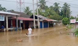 Hujan Deras Melanda, Sembilan Desa di Seluma Terendam Banjir - JPNN.com