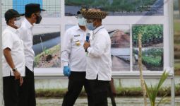 Rupiah Mengalir Kompetitif dari Program Food Estate di Kalteng - JPNN.com