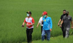Mentan SYL Dorong Pengembangan Urban Farming di Jakarta - JPNN.com