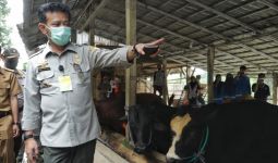 Pacu Kinerja Pertanian Sukabumi, Mentan Perkuat Akselerasi Hulu Hingga Hilir - JPNN.com