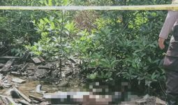 Penjaga Malam Ditemukan Tewas Tanpa Baju di Hutan Bakau - JPNN.com